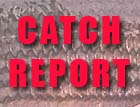 Catch_Report