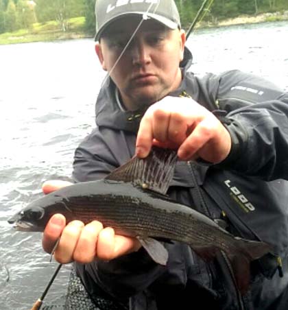 Sebastian_Zak_grayling